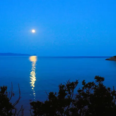 Nel Blu Dipinto Di Blu *