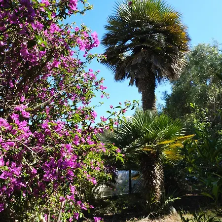 Villa Nel Blu Dipinto Di Blu *